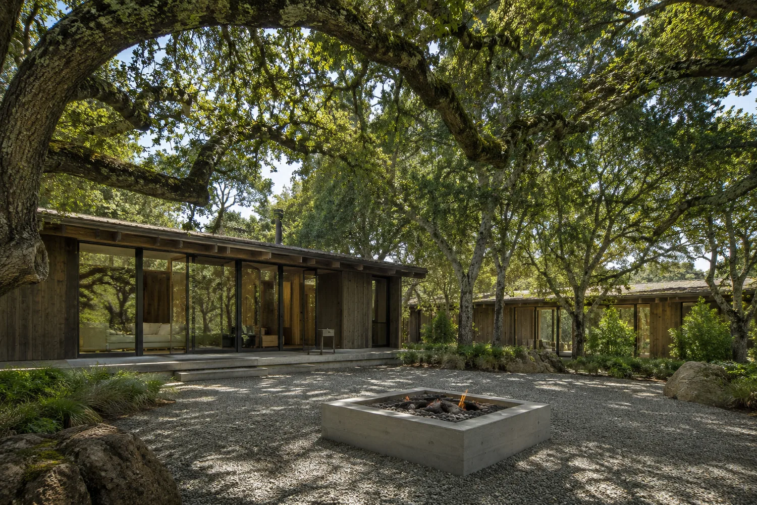 Modern Central Coast home beneath mature oak trees