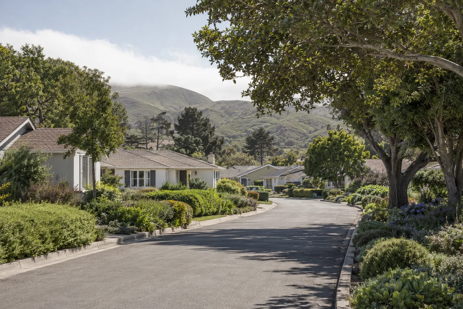 Central Coast neighborhood viewed from the surrounding hills