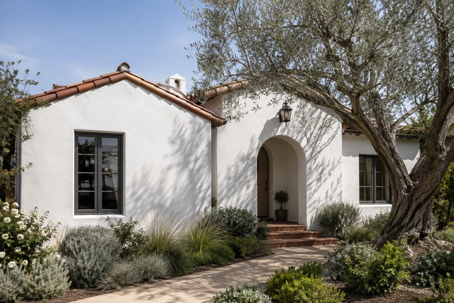 White stucco Central Coast home framed by an old olive tree